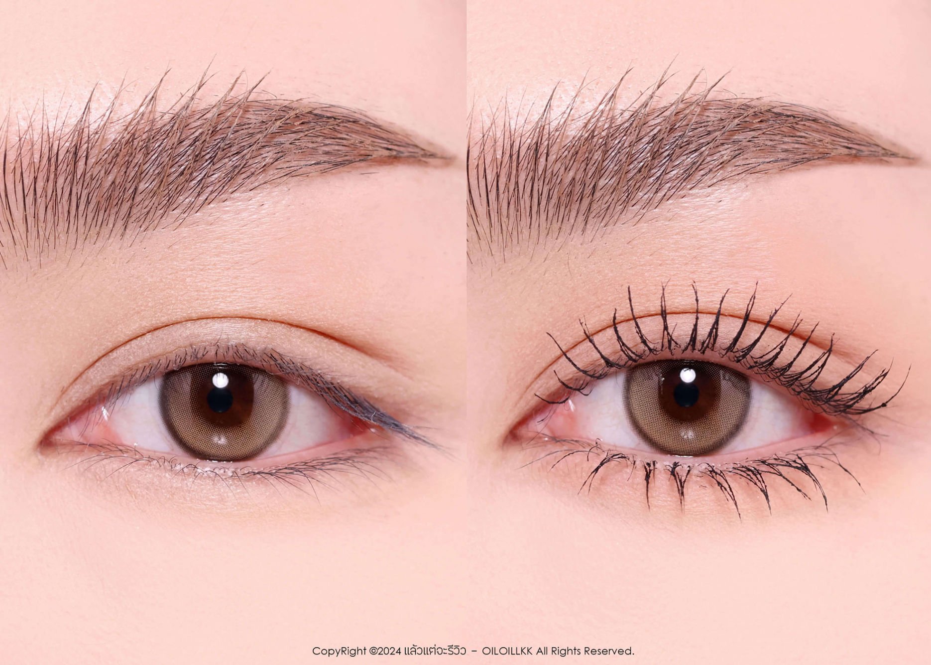 Firework Mascara 360
